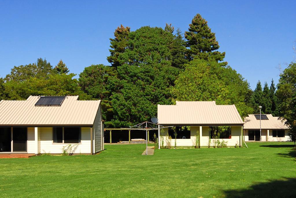 Mount Richmond Estate Motels Rai Valley Esterno foto